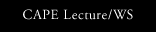 CAPE Lecture / WS